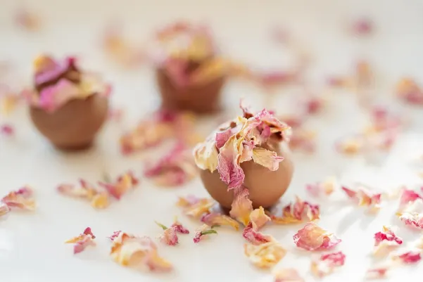 Kasyno Haiti Win Aplikacja Android/iOS